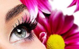 Glow Retreat - Tourism Gold Coast 5