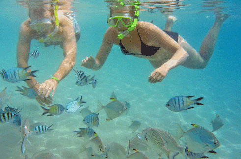 Australian Kayaking Adventures - Tourism Gold Coast 2