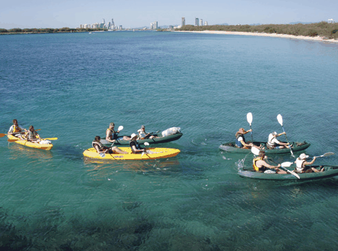 Australian Kayaking Adventures - Tourism Gold Coast 4