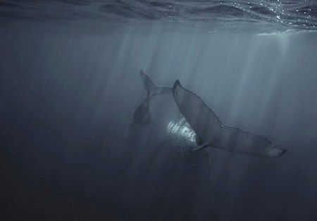 Eleven40 Gallery - Tourism Gold Coast 4