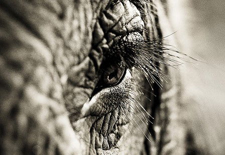 Eleven40 Gallery - Tourism Gold Coast 5