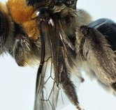 Western Australian Museum - Gold Coast