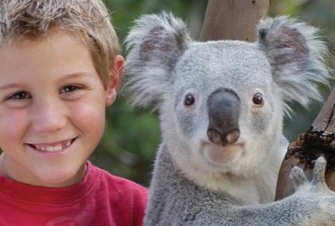 Featherdale Wildlife Park - Gold Coast 1