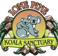 Lone Pine Koala Sanctuary - Tourism Gold Coast