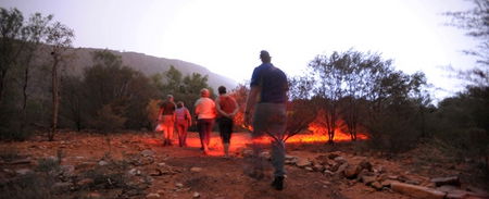 Alice Springs Desert Park - Tourism Gold Coast 4
