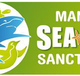Manly SEA LIFE Sanctuary - Tourism Gold Coast