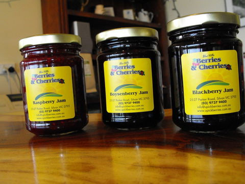 Blue Hills Berries & Cherries - Tourism Gold Coast 1