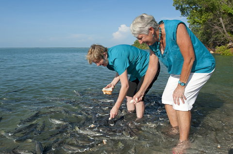 Aquascene Fish Feeding Sanctuary - Tourism Gold Coast 0