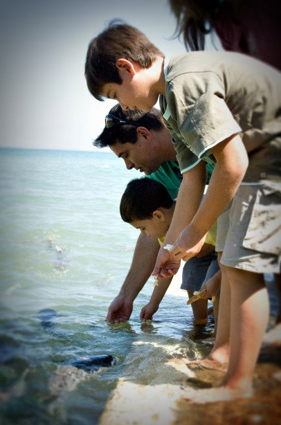 Aquascene Fish Feeding Sanctuary - Tourism Gold Coast 3