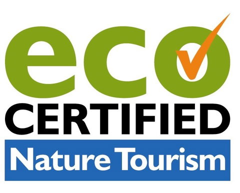 Aquascene Fish Feeding Sanctuary - Tourism Gold Coast 4