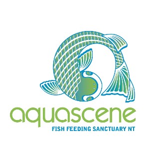 Aquascene Fish Feeding Sanctuary - Tourism Gold Coast 5