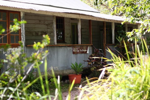 Herveys Range Heritage Tea Rooms - Tourism Gold Coast 3