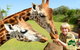 Australia Zoo - thumb 4