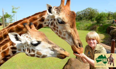 Australia Zoo - Tourism Gold Coast 4