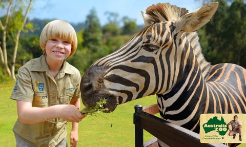 Australia Zoo - Tourism Gold Coast 5