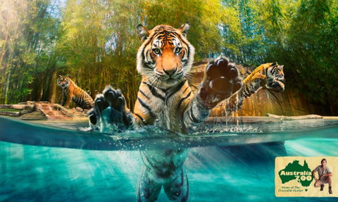 Australia Zoo - Tourism Gold Coast 9