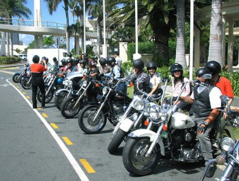 Wildfire Tours - Tourism Gold Coast 1