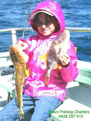 Bravo Fishing Charters - Tourism Gold Coast 5