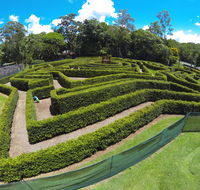 Bellingham Maze - Tourism Gold Coast