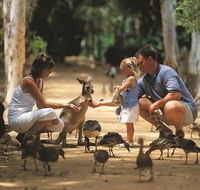 Billabong Sanctuary - Gold Coast