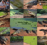 The Malcolm Douglas Crocodile Park - Tourism Gold Coast