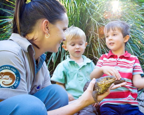 David Fleay Wildlife Park - Tourism Gold Coast 3