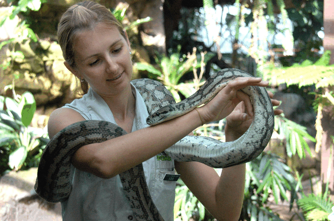 Cairns Wildlife Dome - Tourism Gold Coast 2