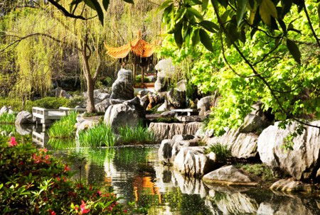 Chinese Garden Of Friendship - Tourism Gold Coast 3