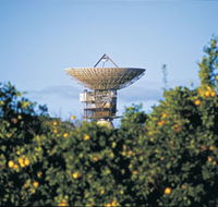 Big Dish - Tourism Gold Coast