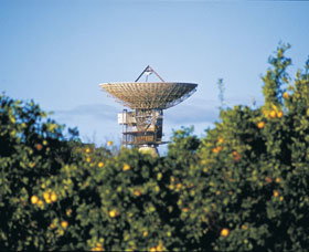 Big Dish - Tourism Gold Coast 0