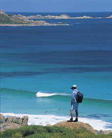 Smiths Beach - Tourism Gold Coast 0