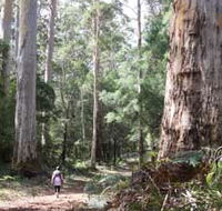 Warren River Loop Walk - Tourism Gold Coast