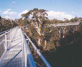  Tourism Gold Coast