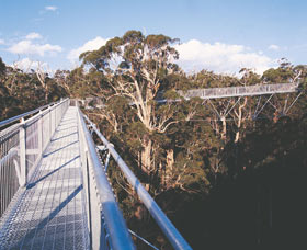 Walpole-Nornalup National Park - Tourism Gold Coast 0