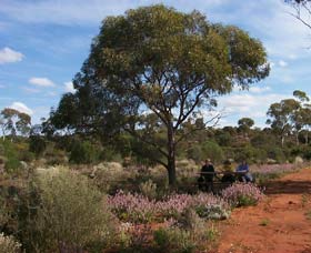 Karlkurla Bushland Park - Tourism Gold Coast 0