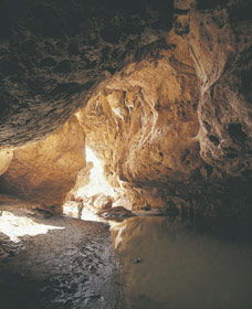 Tunnel Creek National Park - Tourism Gold Coast 0