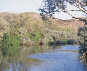Alligator Hole - Tourism Gold Coast 0