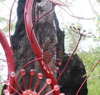 Understory Art In Nature - Tourism Gold Coast