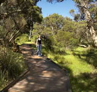 Leschenault Peninsula Conservation Park - Tourism Gold Coast