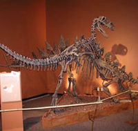 Denmark Dinosaur World - Tourism Gold Coast