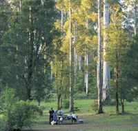 Big Brook Arboretum - Tourism Gold Coast