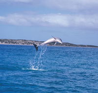 Steep Point - Tourism Gold Coast