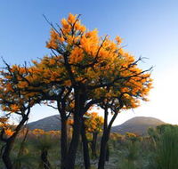Cape Le Grand National Park - Tourism Gold Coast