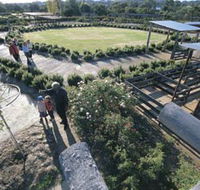 Kojonup Rose Maze - Tourism Gold Coast