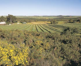 Chapman Valley Scenic Drive - Tourism Gold Coast 0