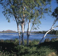 Celebrity Tree Park - Tourism Gold Coast