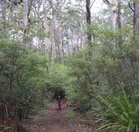 Margaret River Rails Trail - Tourism Gold Coast