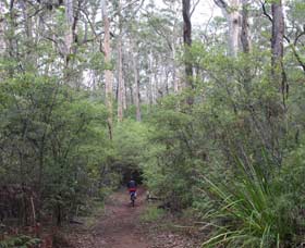 Margaret River Rails Trail - Gold Coast 0