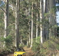 Scotsdale Tourist Drive - Tourism Gold Coast