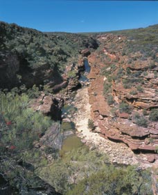 Ross Graham Lookout - Tourism Gold Coast 0